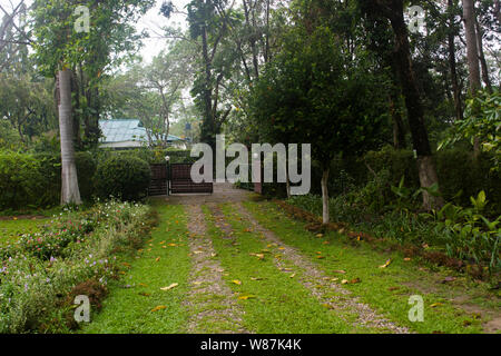 Bilder von wilden Mahseer - ein Öko-bewussten Heritage Resort im Norden von Assam Stockfoto