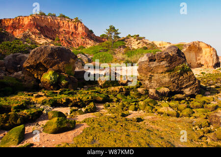 Praia da Falesia, Algarve, Portugal. Stockfoto