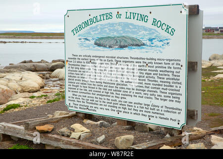 Interpretierende Platine entlang Thrombolites Trail, Blumen Cove, Neufundland und Labrador, Kanada Stockfoto