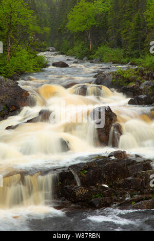 Triple fällt, St. Anthony, Neufundland und Labrador, Kanada Stockfoto