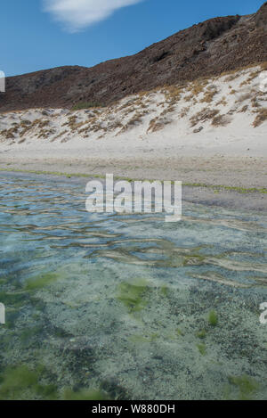 Seelandschaften durch die Wüste von Baja California Sur La Paz. Mexiko Stockfoto