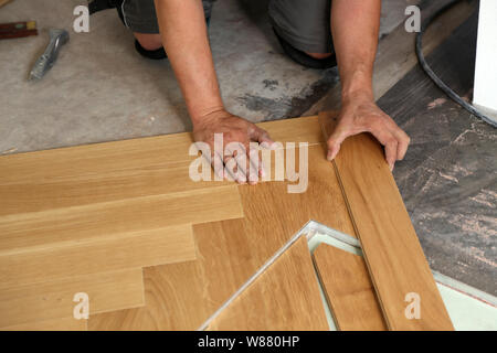 Arbeitnehmer mit Parkettboden. Arbeitnehmer installation Holz Laminatboden. Stockfoto