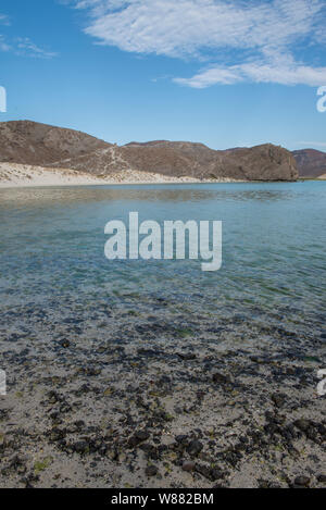 Seelandschaften durch die Wüste von Baja California Sur La Paz. Mexiko Stockfoto