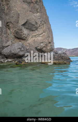 Seelandschaften durch die Wüste von Baja California Sur La Paz. Mexiko Stockfoto