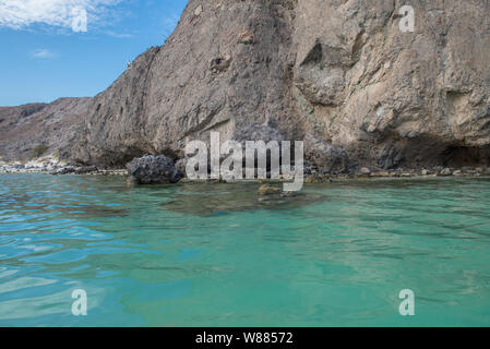 Seelandschaften durch die Wüste von Baja California Sur La Paz. Mexiko Stockfoto