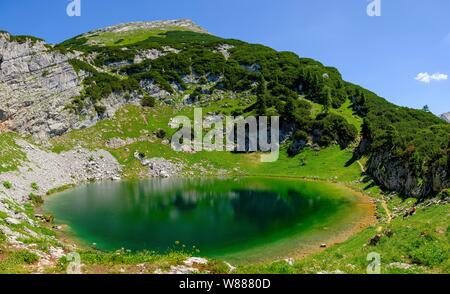 See Seehornsee unter dem Gipfel des Seehorn, Bergsee, Berchtesgadener Alpen, Weißbach bei Lofer, Salzburger Land, Österreich Stockfoto