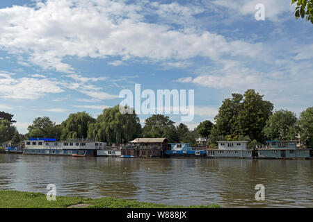 Hausboote günstig auf der Themse bei East Twickenham, von Richmond gesehen, im Südwesten von London, England Stockfoto