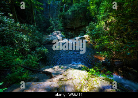 Blue Hole Wasserfällen ist in der Cherokee National Forest in Elizabethton, Tennessee in Carter County Stockfoto