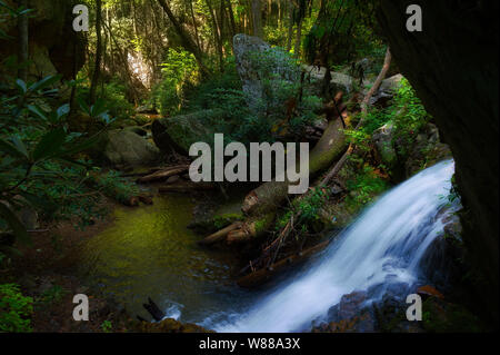 Blue Hole Wasserfällen ist in der Cherokee National Forest in Elizabethton, Tennessee in Carter County Stockfoto