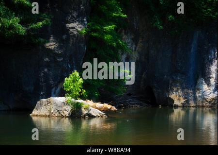 Eine kleine Felsinsel mitten in New River, Virginia mit einen kleinen Baum. Stockfoto
