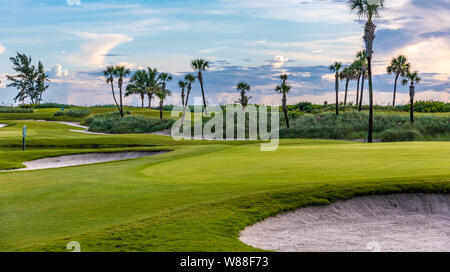 Am frühen Morgen im Palm Beach Golf Course, Par 3 Kurs durch den Ozean auf der einen Seite und dem Intracoastal Waterway auf der anderen in Palm Beach, FL Stockfoto