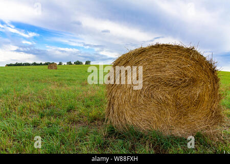 Heu und Strohballen im Spätsommer Stockfoto