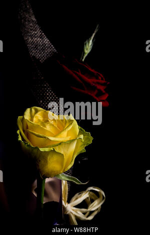 Gelbe und rote Blumen Bouquet auf schwarzem Hintergrund Stockfoto