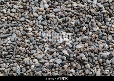 Viele kleine Steine auf eine Textur Hintergrund Stockfoto