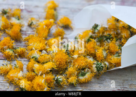 Getrocknete Löwenzahnblüten, Sky, Blüte, Ernte, Kräuterernte Löwenzahn-Blüten-, Wiesen-Löwenzahn, Gemeiner Löwenzahn, Löwenzahn, Kuhblume, Taraxacum Stockfoto