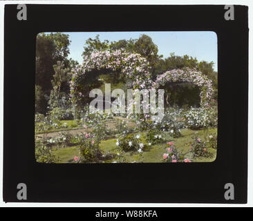 Glen Oaks, James Hobart Moore Haus, East Valley Road, Montecito, Kalifornien. Rose Garden Stockfoto