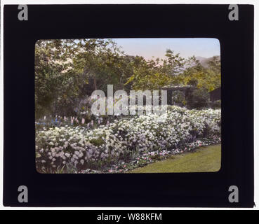 Glen Oaks, James Hobart Moore Haus, East Valley Road, Montecito, Kalifornien. Pyrethrum Grenze Stockfoto