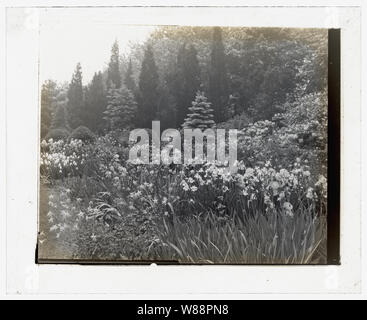 Dupont Killenworth, George Pratt Haus, Glen Cove, New York. Blume Grenze Stockfoto