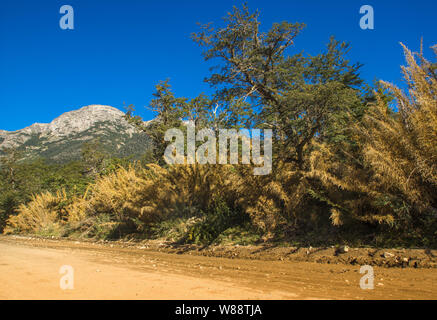 See Traful in Patagonien, verzaubert, Argentinien Stockfoto