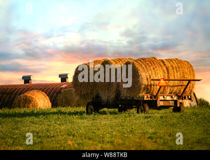 Bauernhof Ladewagen gefüllt mit Rundballen Heu. Stockfoto