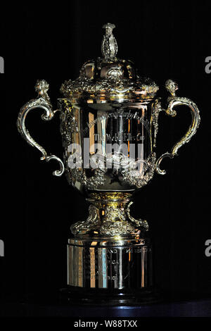 Rugby World Cup in Hereford Cathedral - Die Webb Ellis Cup. Stockfoto