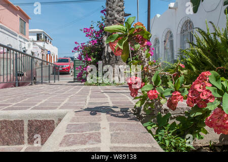 Zu Fuß auf den Straßen von Todos Santos, magische Stadt, in Baja California Sur. Mexiko Stockfoto