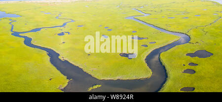 Eine gesunde Salt Marsh wächst in angenehmen Bay auf Cape Cod, Massachusetts. Diese Art der marine Lebensraum dient als Kinderstube für Fische und Wirbellose. Stockfoto