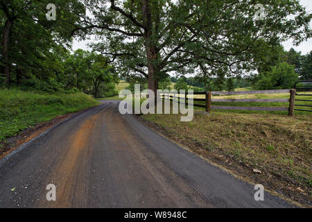 UNITED STATES - Juni 10, 2019: Snake Hill Road in der Nähe der Stadt Middleburg. (Foto von Douglas Graham/WLP) Stockfoto