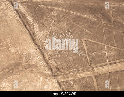 Luftaufnahme der Spider geoglyph Zeichnung, die in der peruanischen Küstenwüste, wie die Geheimnisvollen Nazca Linien in der Nähe von Nazca, Peru bekannt. Stockfoto