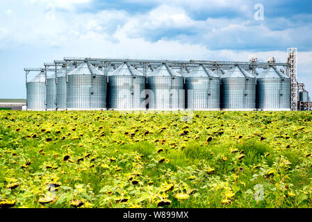 Fernsicht auf Sonnenblumenöl Raffinerie in einem Feld Stockfoto