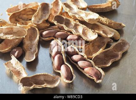 Erdnüsse ohne Schale mit vier Erdnüsse in einer Shell Stockfoto