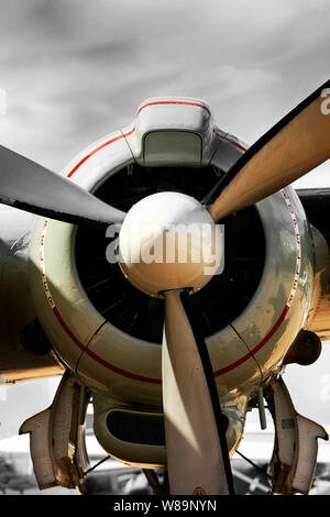 Wright R-3550 Sternmotor am Flügel einer LC-121 T USAF AEW-Version der Lockheed L-1049 Super Constellation Stockfoto