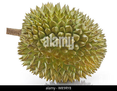 Durian Frucht isoliert auf weißem Hintergrund Stockfoto