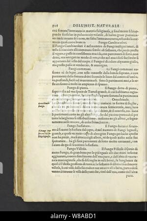 Dell'historia Natvrale di Ferrante Imperato Napoletano Libri XXVIII Stockfoto