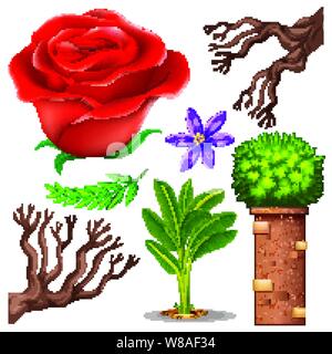 Eingestellt von isolierten Objekten Thema Gartenbau Abbildung Stock Vektor