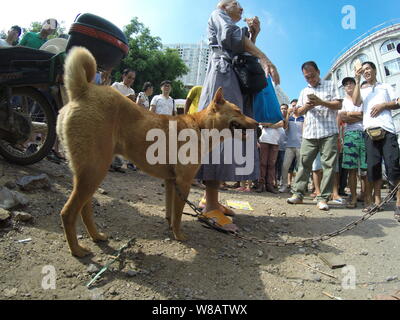 Einen Hund getötet werden ist verbunden mit einem freien Markt während der yulin Hund essen Festival in Yulin City, South China Guangxi Zhuang autonomen Region, 21. Stockfoto