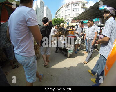 Ein chinesischer Hersteller reitet ein Elektrofahrrad mit Hunden auf einem freien Markt während des Yulin Hund essen Festival in Yulin City, South China Guan, getötet zu werden. Stockfoto