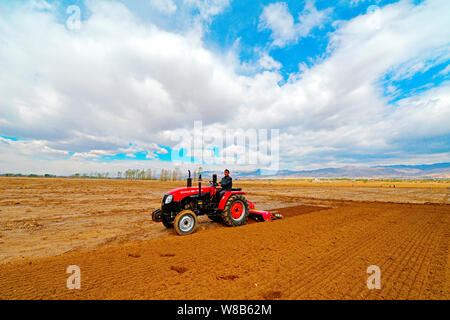 ---- Ein chinesischer Bauer fährt ein Traktor ein Maisfeld in Fanshi Grafschaft zu pflügen, Stadt Xinzhou, der Norden der Provinz Shanxi, China 17. April 2016. China ha Stockfoto