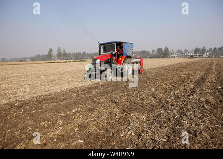 ---- Ein chinesischer Bauer fährt mit seinem Traktor ein maisfeld vor der Anpflanzung von Weizen in einem Dorf in der Grafschaft Mengcheng Pflug, Liuan City, East China Anhu - Stockfoto