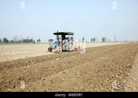 ---- Ein chinesischer Bauer fährt ein Traktor ein Maisfeld in Mengcheng Grafschaft zu pflügen, Stadt Bozhou, der ostchinesischen Provinz Anhui, 3. März 2016. China hat Stockfoto