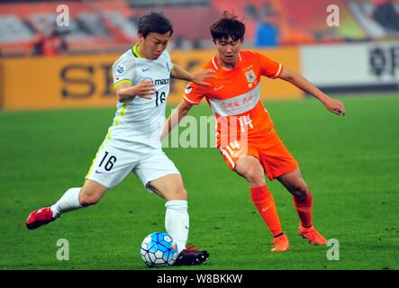 Wang Tong von China Shandong Luneng, rechts, Herausforderungen Kohei Shimizu in Japan Sanfrecce Hiroshima in ihrer Gruppe F entsprechen, während der 2016 AFC Champi Stockfoto