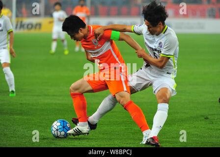 Hao Junmin von China Shandong Luneng, Links, Herausforderungen Kazuhiko Chiba in Japan Sanfrecce Hiroshima in ihrer Gruppe F entsprechen, während der 2016 AFC Champion Stockfoto