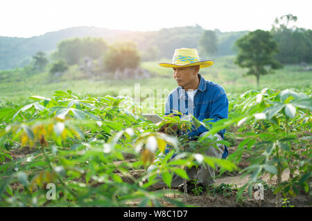 Geschäftsmann Bauer Holding Tablet in 888-Feld. Intelligenter Landwirt Konzept. Stockfoto