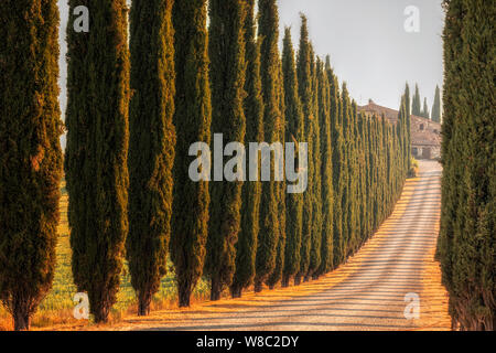 San Qurico, Toskana, Italien, Europa Stockfoto