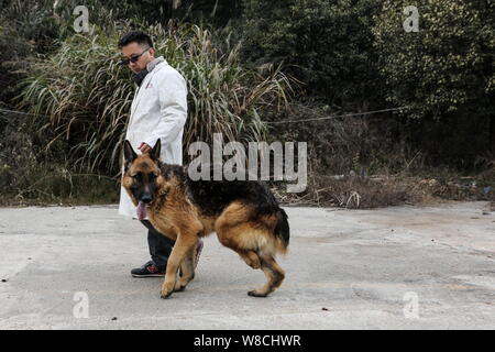 Du Lüfter geht ein Hund an einem Stray Animal Adoption in Wuhan City, Central China Provinz Hubei, 26. Dezember 2014. Du Ventilator, ein 32-jähriger Mann, Launc Stockfoto