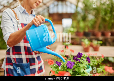 Nahaufnahme von einem Landwirt mit Gießkanne mit Blumen Wasser im Gewächshaus. Stockfoto