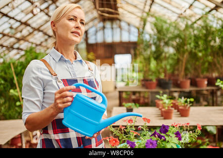 Gärtner verwendet blaue Bewässerung violetten Blüten in Grün Töpfe können zu Wasser. Stockfoto