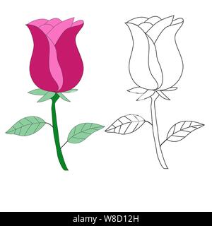 Handzeichnung Rose Blume auf weißem Hintergrund. Vector Illustration EPS 10. Stock Vektor