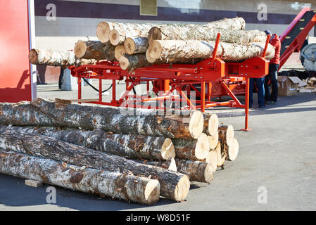 Birke im Sägewerk sonnig Stockfoto