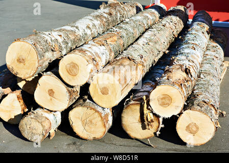 Birke im Sägewerk sonnig Stockfoto